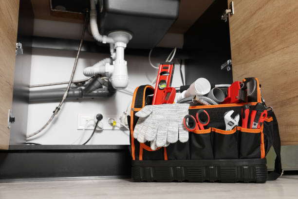 Best Local Plumber Services  in Artesia, NM